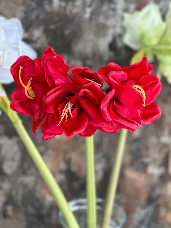 Kwiat sztuczny Amarylis T27 (75 cm)