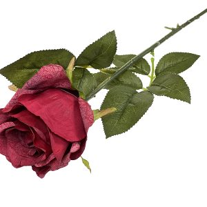 Róża pojedyncza Red 50-87 (62 cm)