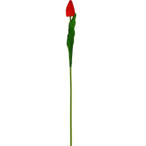 Tulipan pojedynczy BL053 (50 cm)