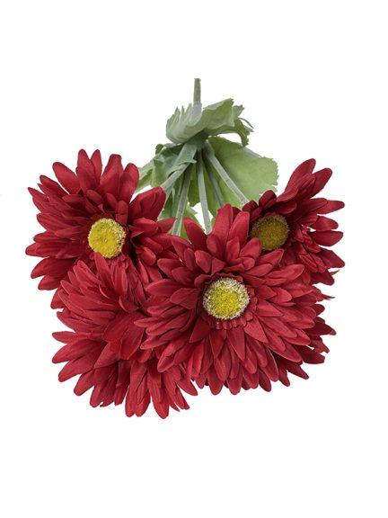 gerbera-czerw-2.jpg