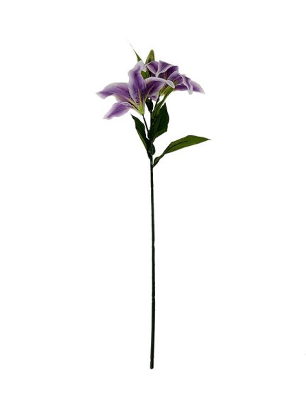 lilia-fiolet-2.jpg