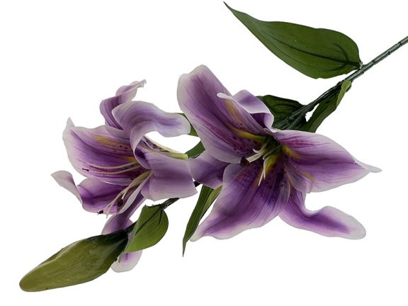 liloia-fiolet-1.jpg