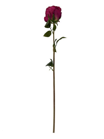 roza-3-1.jpg