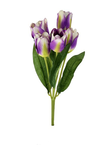 tulipan-afl0801-fiolet.jpg