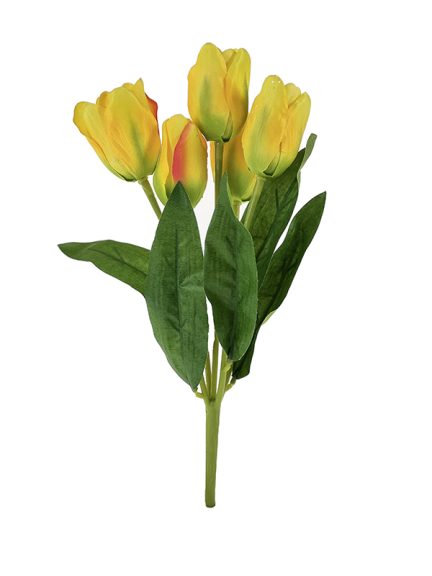 tulipan-afl0801-zolty.jpg