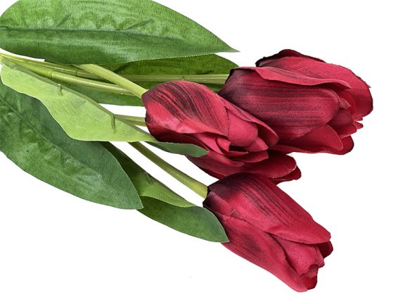 tulipan-czerwien.jpg