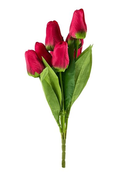 tulipan-duzy-czerw-a.jpg