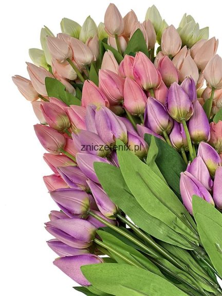 tulipany-1.jpg